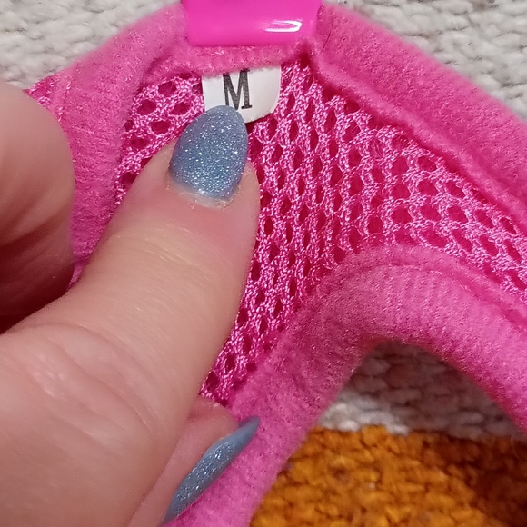 Dog harnessed - Picture 3 of 4